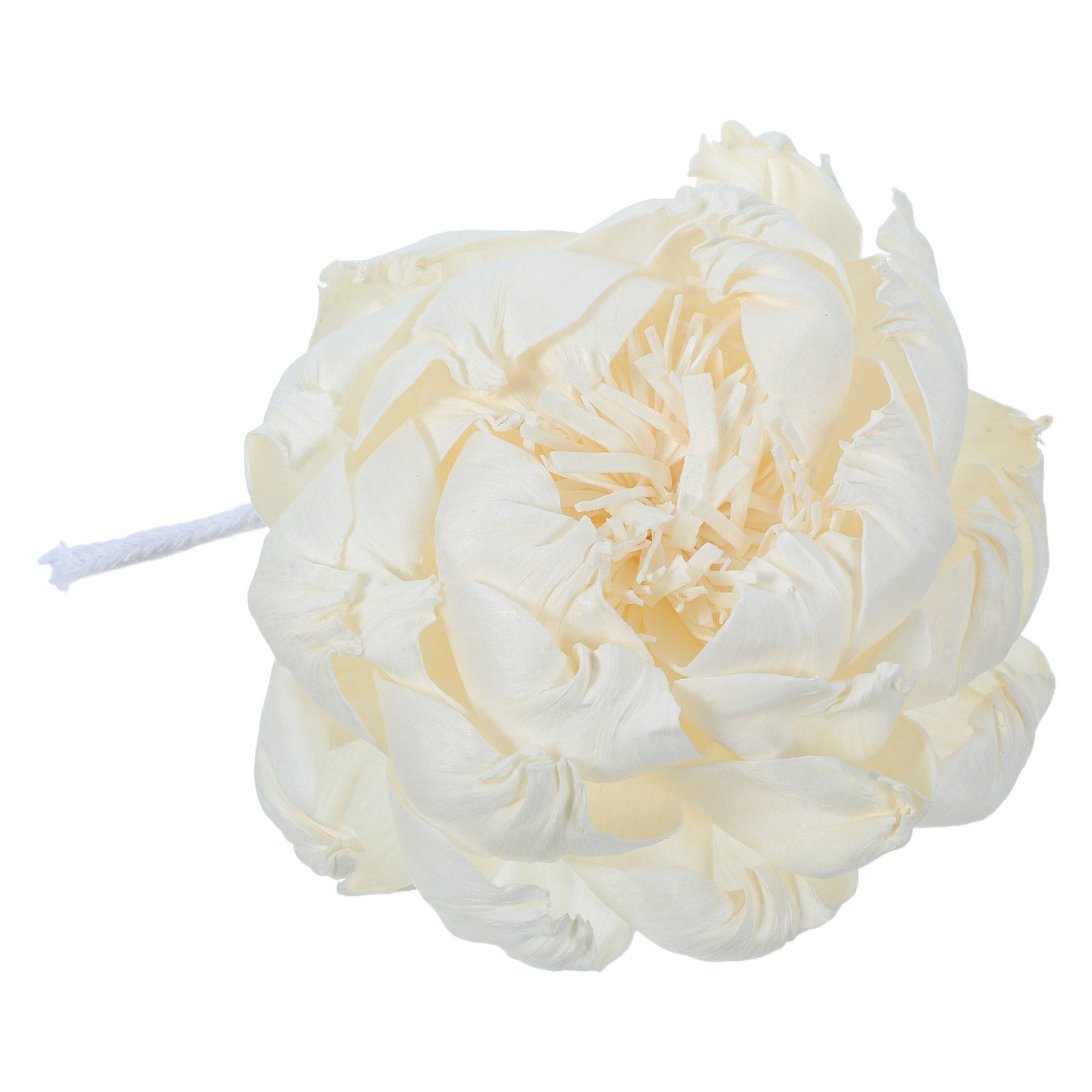 Peony Head Fragrance Diffuser  - Home Decor Essentials 评论和价格