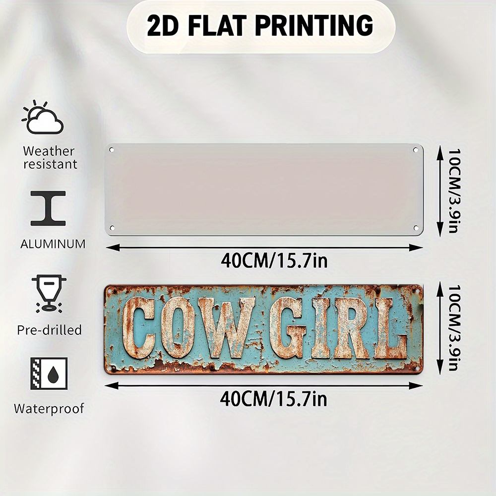2D Metal Cowgirl Wall Art - Vi - Home Decor Trends 评论和价格