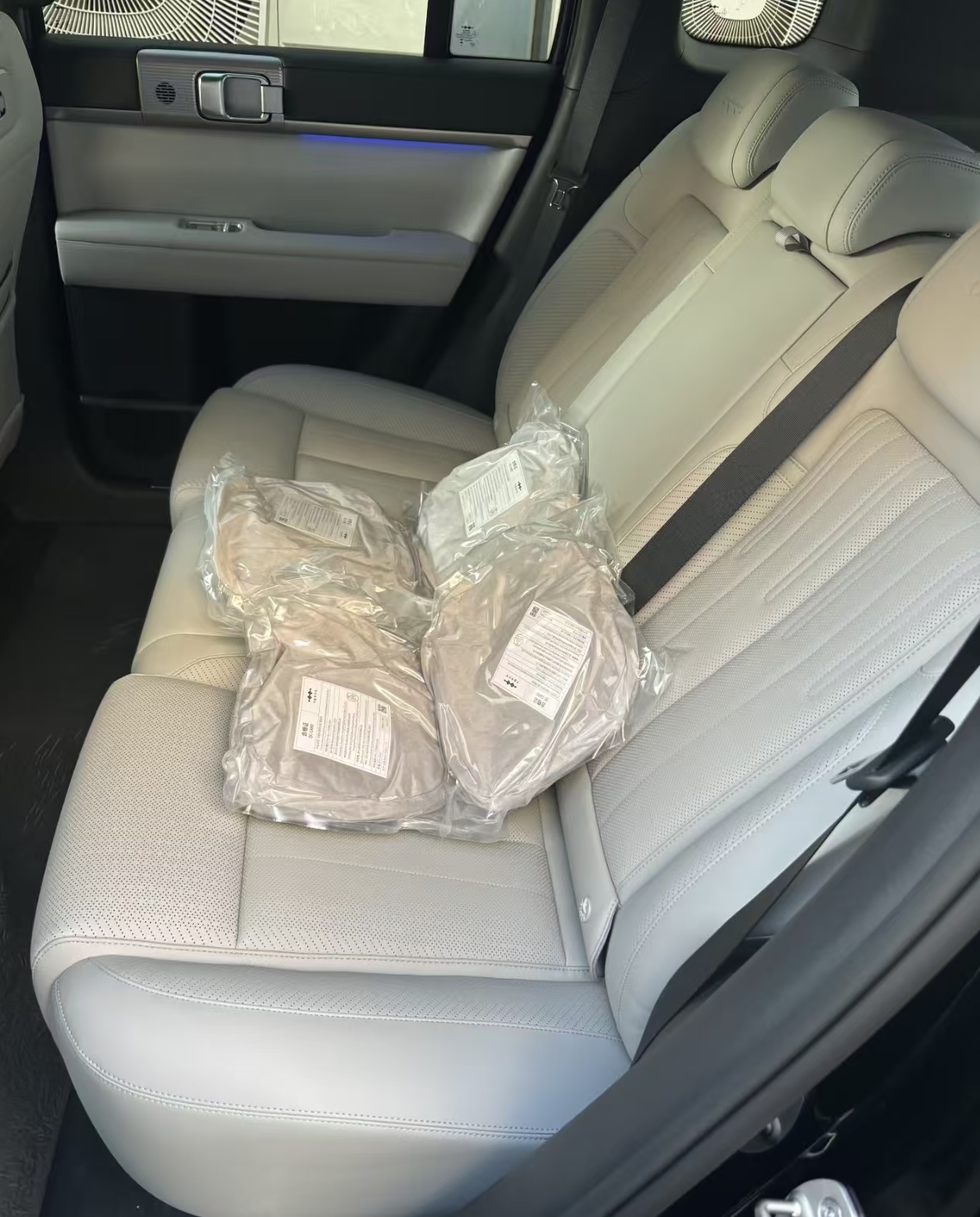 OEM Headrest Pillow for Leopar - Decorative Throw Pillow 评论和价格