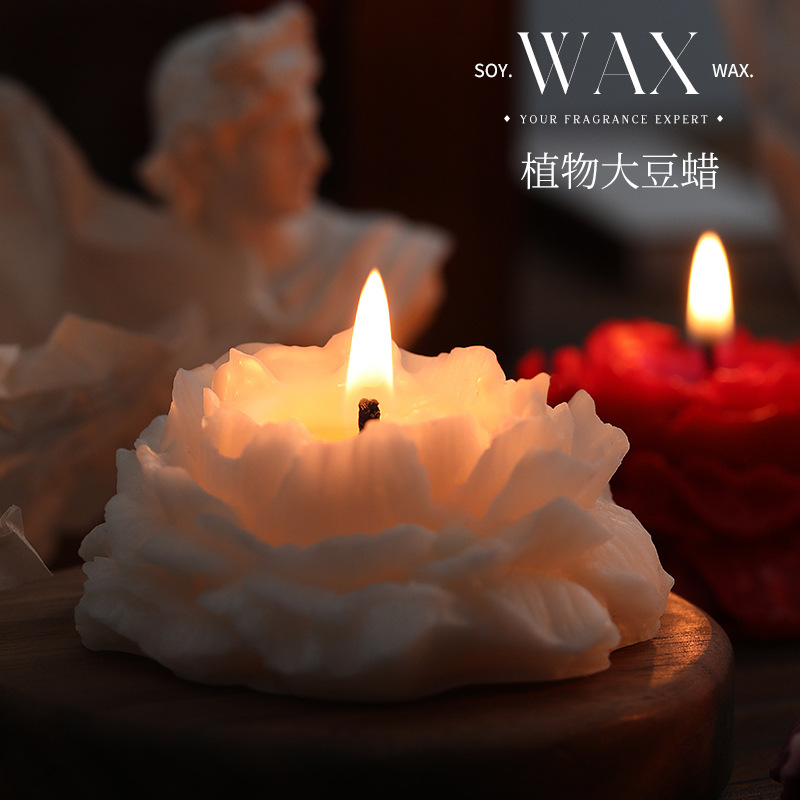Camellia scented candles simpl - Home Decor Yoga 评论和价格